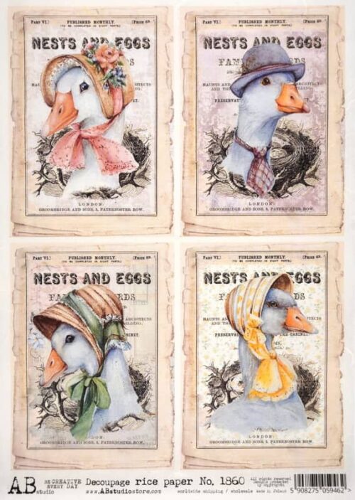 Decoupage Rice Paper A/4 - Duck Hat Fashion - 1860