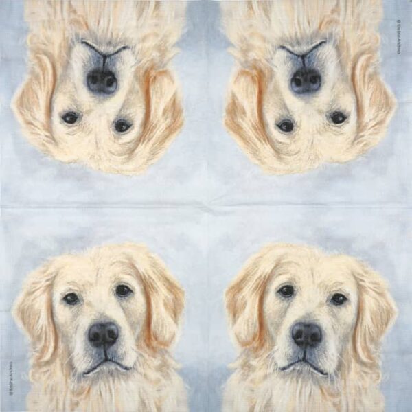 Paper Napkin - Dog