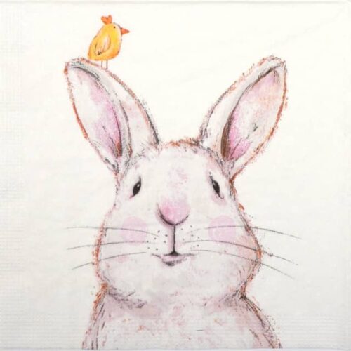 Paper Napkin - Rabbit & Friend