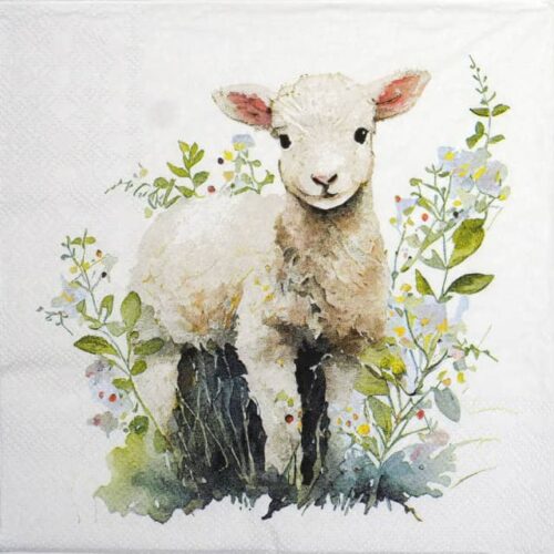 Paper Napkin - Lamb