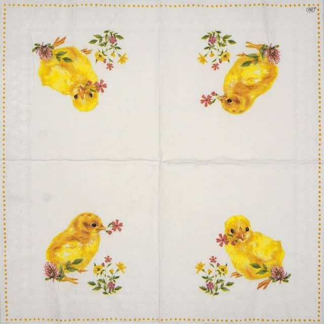 Paper Napkin - Chicks