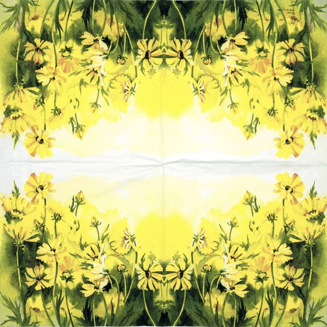 a yellow flowers on a white background