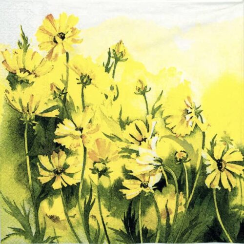 a close-up of yellow flowers