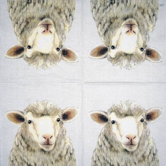 Paper Napkin - Farm Sheep