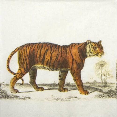 Paper Napkins - Safari animals (25 pieces)