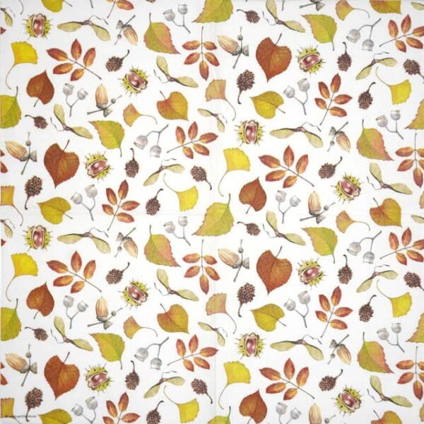 Single Decoupage Napkin - Autumn details - Image 2