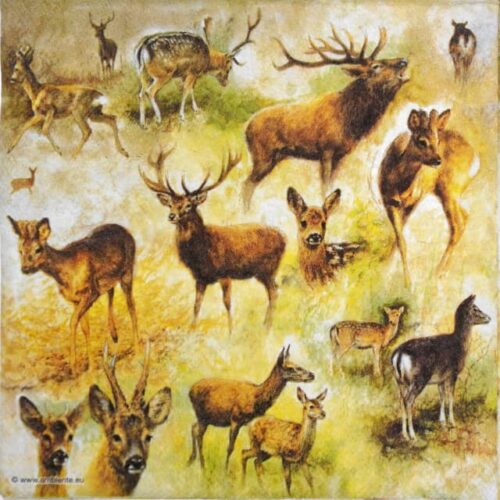 Single Decoupage Napkin - Collage of deers