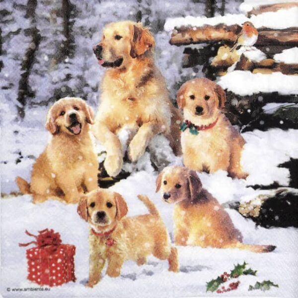 Paper Napkins - Golden retriever puppies   (20 pieces)
