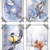 AB Studio Decoupage Rice Paper A/4 - Winter Birds and Squirrel Scenes - 2055