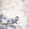 Stamperia Rice Paper A4 - Create Happiness Dewdrops bird - DFSA4973