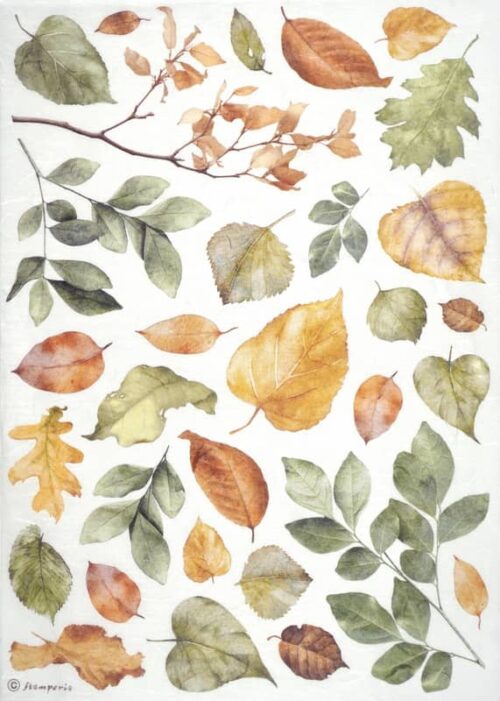Stamperia Rice Paper A4 - Leaves