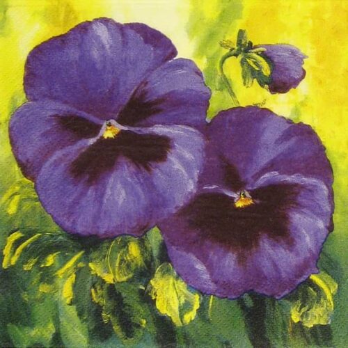 Ti-flair-Violet-Impressions-lilac-342631