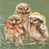 Cocktail Decoupage Napkin - Winter Owls green