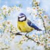 Close-up of Ambiente Blossom Time napkin featuring a detailed blue tit perched on a branch of white blossoms against a soft blue sky.