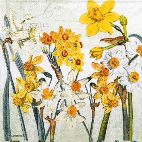 Lunch Decoupage Napkin Narcissus: Detailed illustration of radiant yellow and white daffodil flowers with green stems on a vintage script background.