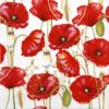 Close-up of a paper napkin featuring vibrant red poppy flowers and green buds on a white background.