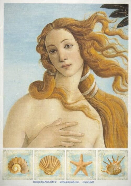 Decoupage rice paper featuring a close-up of Botticelli's Birth of Venus with flowing red hair, and four smaller panels showing various sea shells and a starfish.