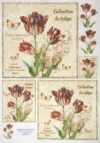 Vintage decoupage rice paper featuring red and white striped tulips, butterflies, and French text 'Collection de tulipe' on a cracked parchment background.