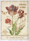 Vintage decoupage rice paper featuring red and white striped tulips, butterflies, and French text 'Collection de tulipe' on a cracked parchment background.